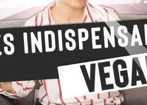 mes indispensables vegan - comment bien commencer